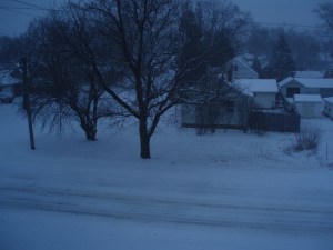 Winter 2018-2019 first substantial snow