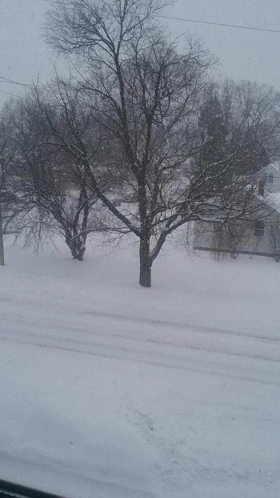 More snow mid Feb 2019